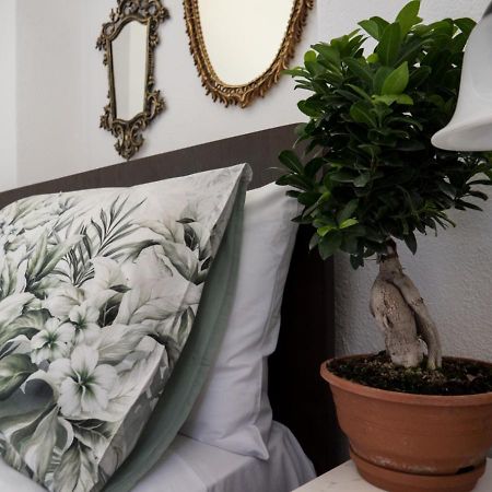Santa Cruz Country Cottage Kallithea  Екстериор снимка
