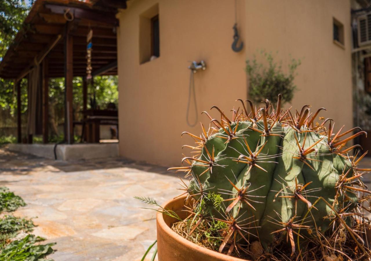Santa Cruz Country Cottage Kallithea  Екстериор снимка