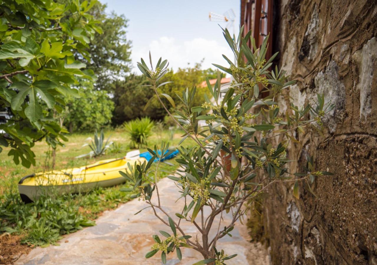 Santa Cruz Country Cottage Kallithea  Екстериор снимка